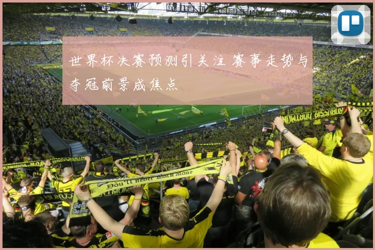 世界杯决赛预测引关注 赛事走势与夺冠前景成焦点