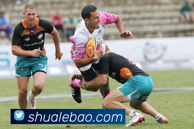 世界杯平台官网登录平台生态图